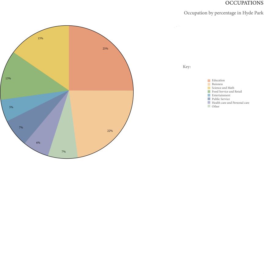 piechart occupation